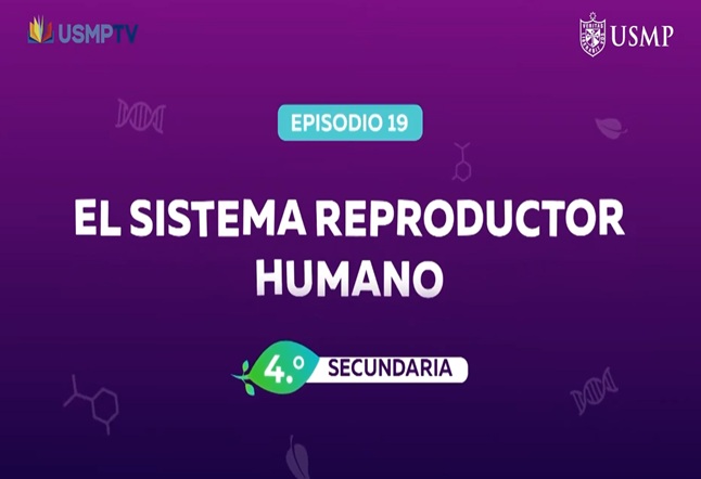 Capítulo N° 19 - El Sistema Reproductor Humano